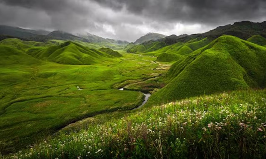 Touring Japfu Peak or the Valley of Flowers in Nagaland