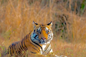 sundarban-travel-photo-1